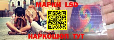 прущие грибы Можга