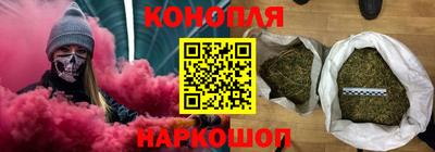 прущие грибы Можга