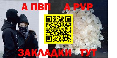прущие грибы Можга