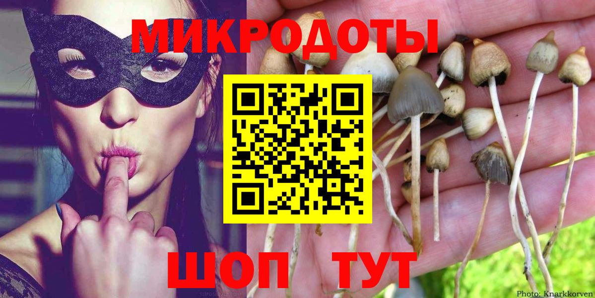 Галлюциногенные грибы Psilocybe  Вход с VPN  Чусовой  Галлюциногенные грибы Magic Shrooms 