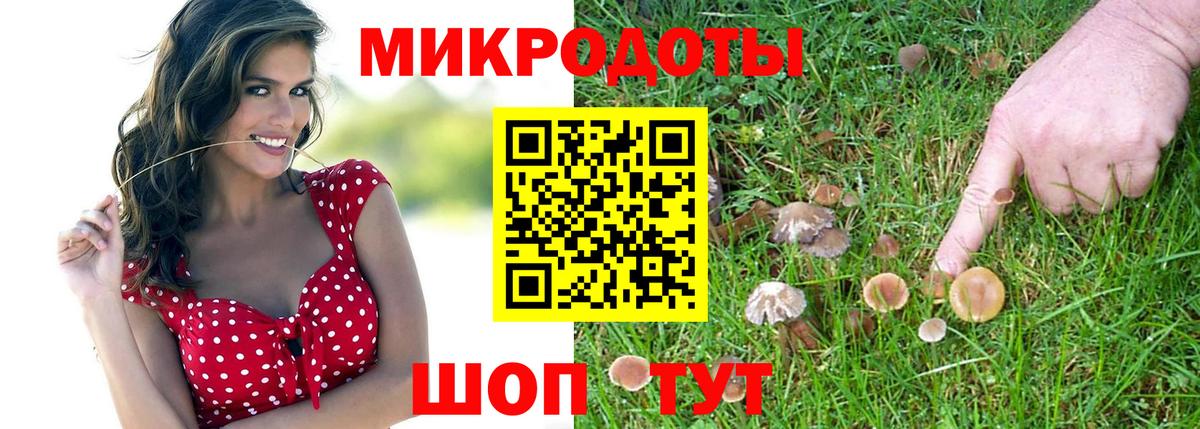 Галлюциногенные грибы GOLDEN TEACHER Чусовой